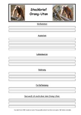 Orang-Utan-Steckbriefvorlage.pdf